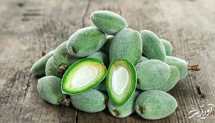 چاقاله بادام